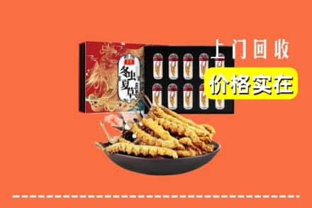 龙岩永定区回收冬虫夏草